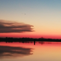 WhatsApp Image 2020-02-04 at 08.57.47 WhatsApp Image 2020-02-04 at 08.57.47