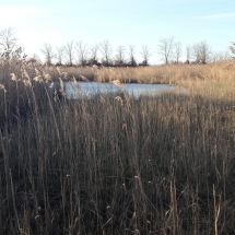 WhatsApp Image 2020-02-04 at 09.03.04 WhatsApp Image 2020-02-04 at 09.03.04