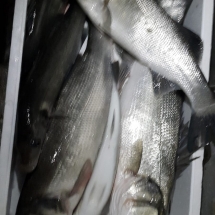 WhatsApp Image 2020-02-04 at 09.04.00 WhatsApp Image 2020-02-04 at 09.04.00